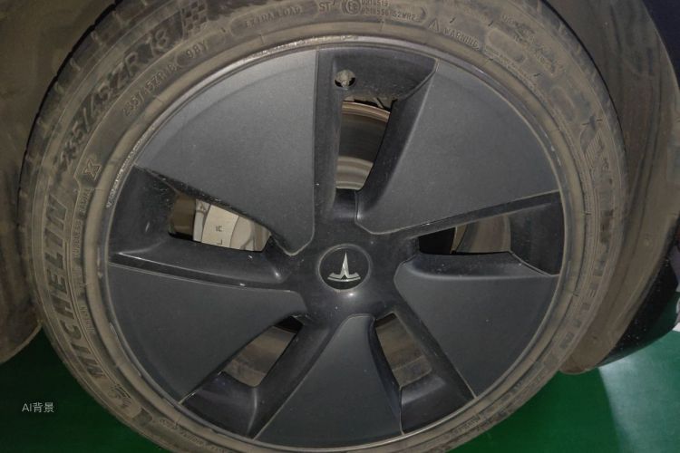 Tesla Model 3 2021 immagine di auto #9