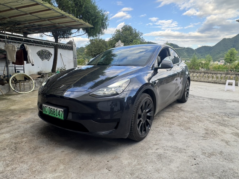 Tesla Model Y 2024 car image 