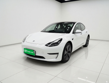 Tesla Model 3 2022 Tesla Model 3 2022 car image