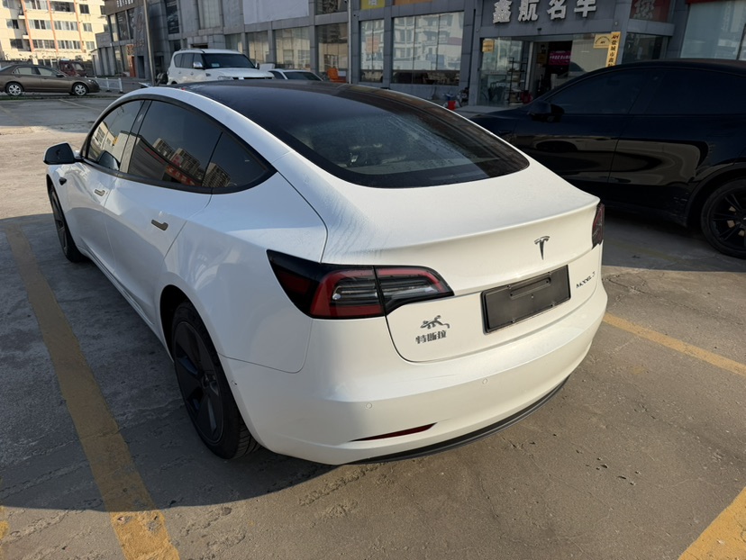 Tesla Model 3 2022 #5 Tesla Model 3 2022 car image #5