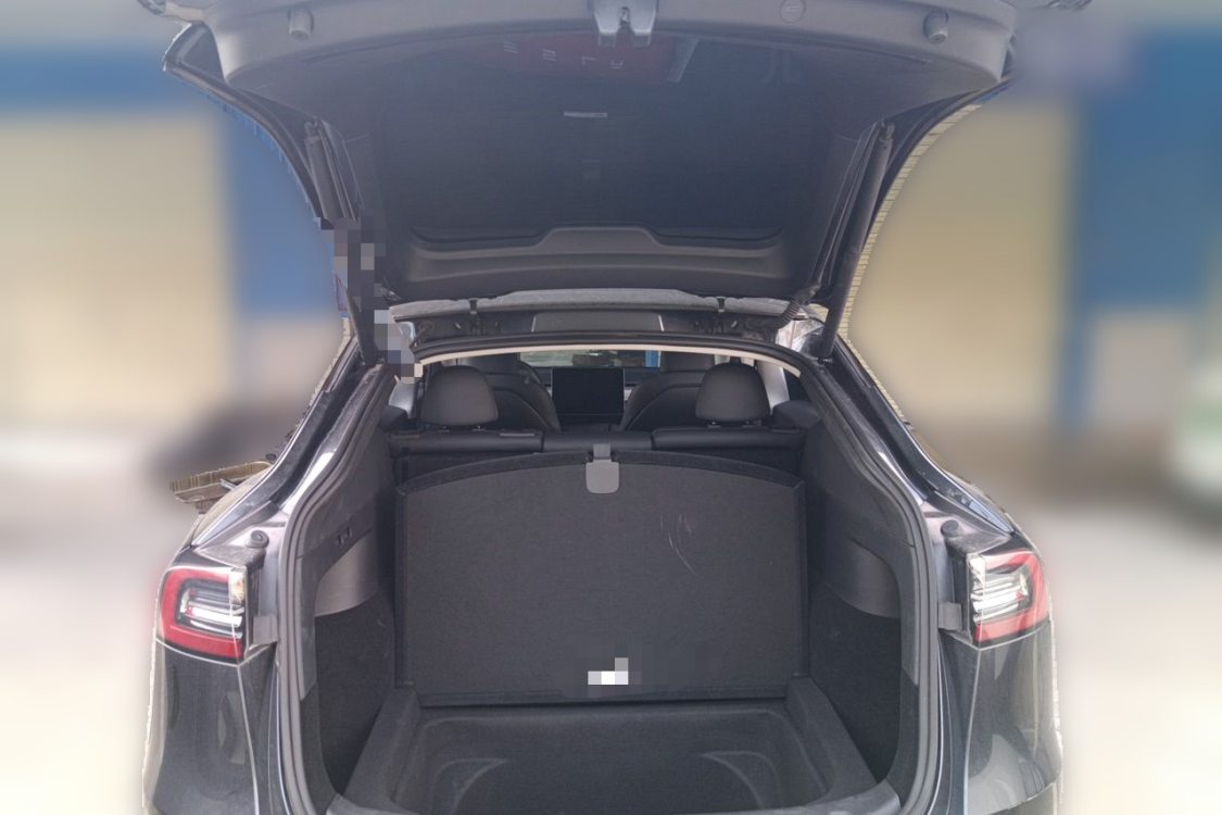 Tesla Model Y 2024 car image #8