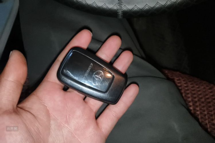 Toyota Corolla 2020 car image #10