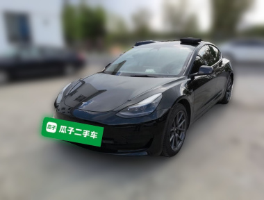 Tesla Model 3 2021 car image 