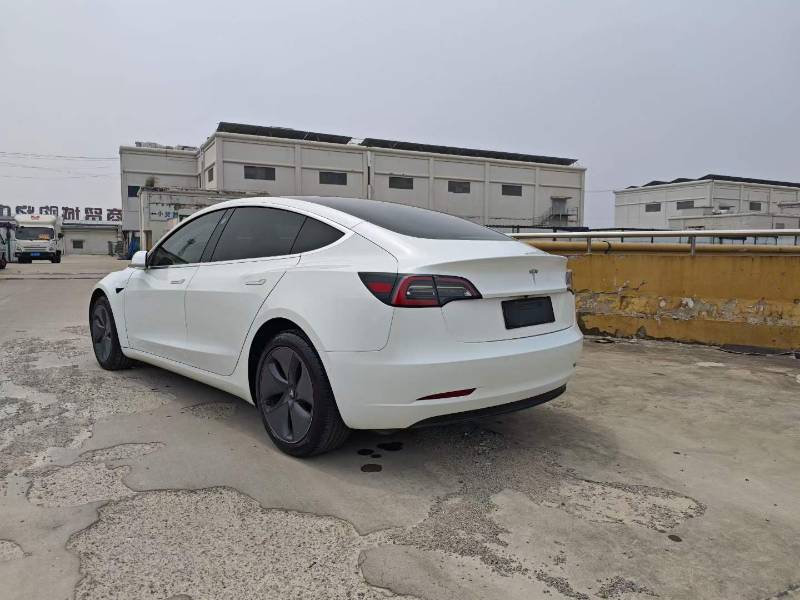 Tesla Model 3 (Imported) 2019 #8 Tesla Model 3 (Imported) 2019 car image #8