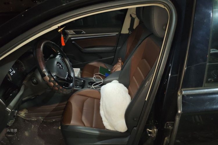 Volkswagen Lavida 2019 #17 Volkswagen Lavida 2019 car image #17