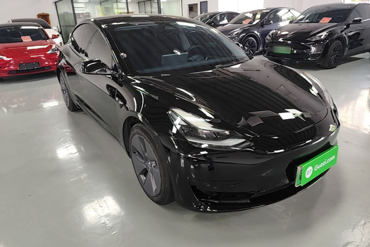 Tesla Model 3 2021 car image #4