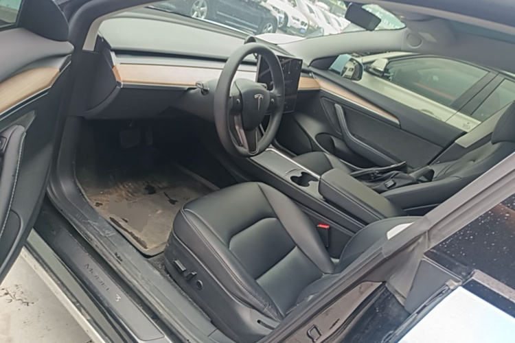 Tesla Model 3 2022 immagine di auto #15