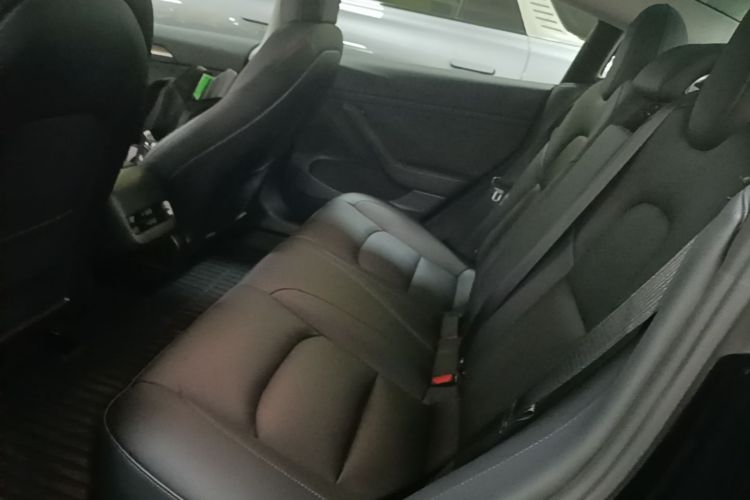 Tesla Model 3 2021 #13 Tesla Model 3 2021 immagine di auto #13