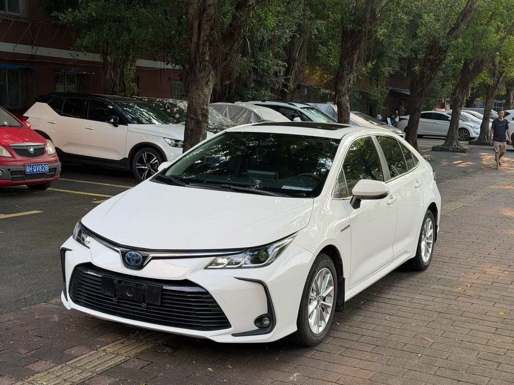 Toyota Corolla 2021 Toyota Corolla 2021 car image
