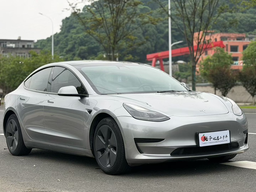 Tesla Model 3 2021 #3 Tesla Model 3 2021 car image #3