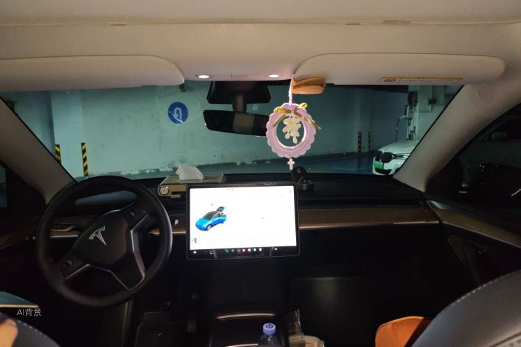 Tesla Model Y 2021 car image #20