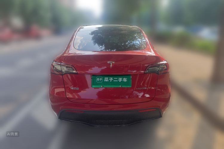 Tesla Model Y 2021 car image #6