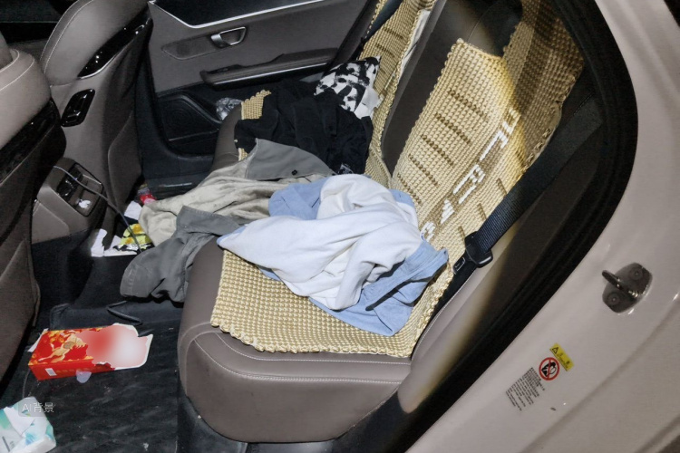 BYD Han 2022 immagine di auto #19
