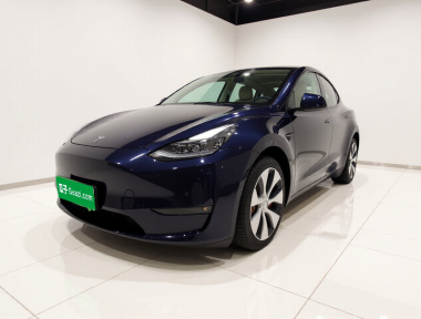 Tesla Model Y 2021 car image 