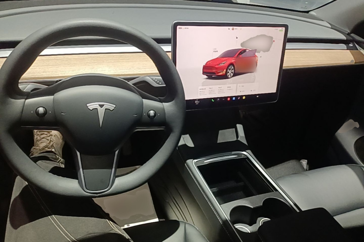 Tesla Model Y 2023 car image #10