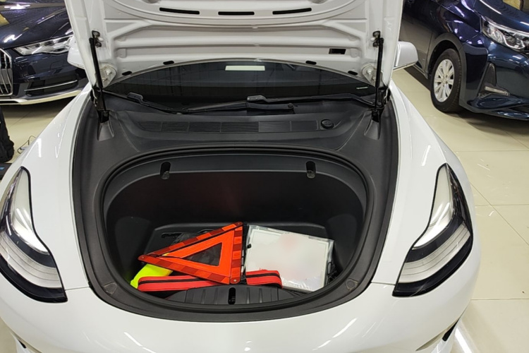 Tesla Model 3 2020 #20 Tesla Model 3 2020 car image #20