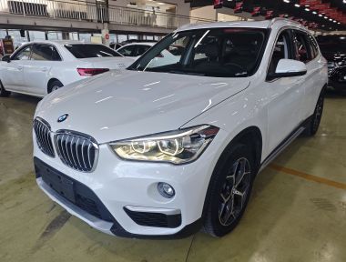 BMW X1 2019 BMW X1 2019 car image
