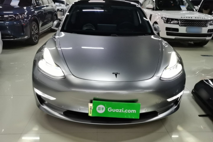 Tesla Model 3 2020 imagem de carro #3