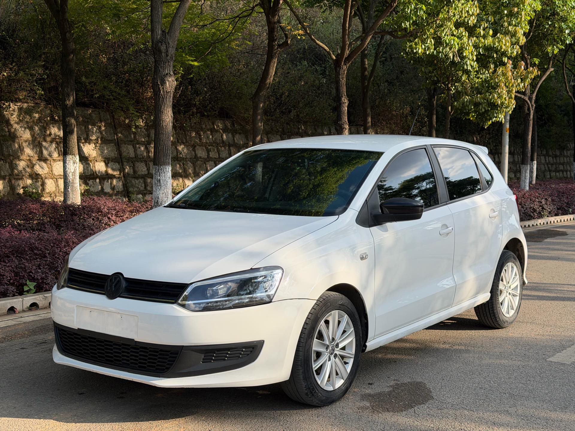 Volkswagen Polo 2014 Volkswagen Polo 2014 car image