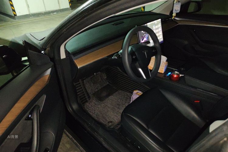 Tesla Model 3 2021 #18 Tesla Model 3 2021 car image #18