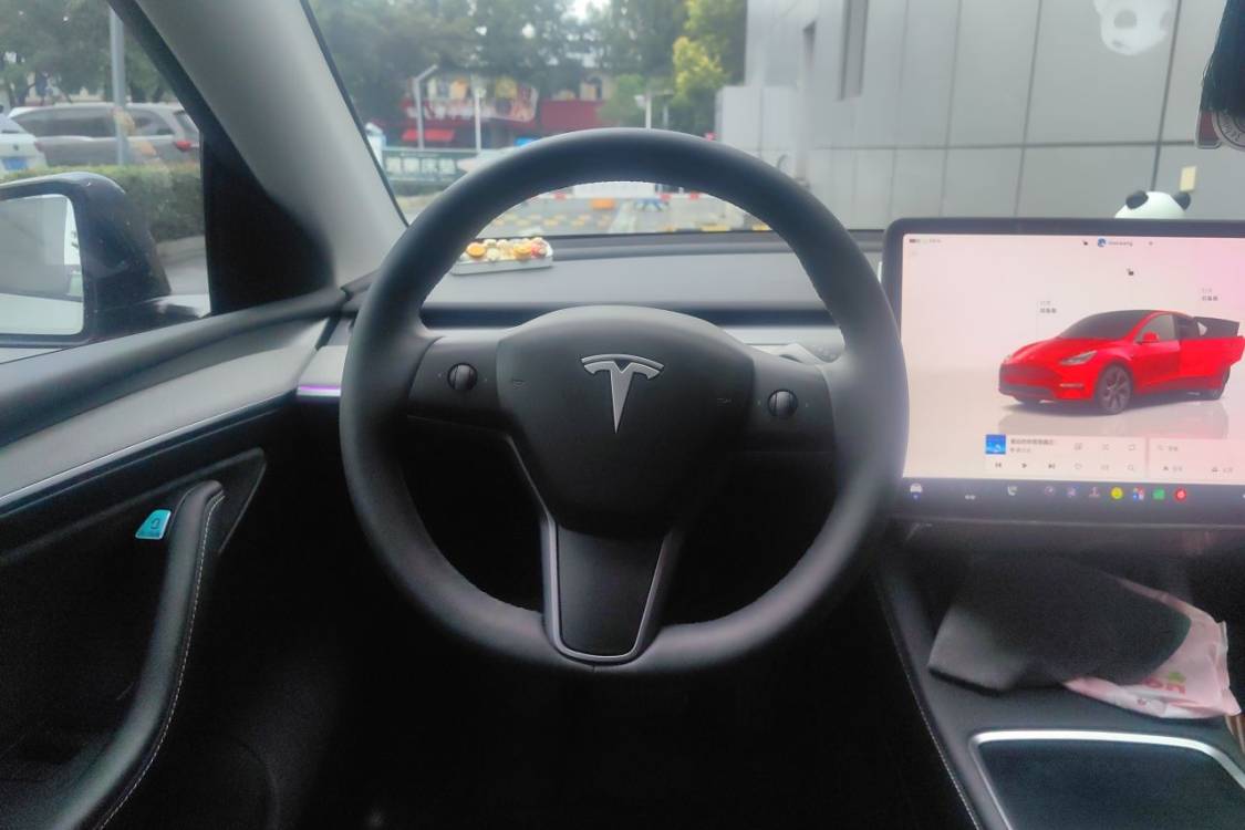 Tesla Model Y 2024 car image #22