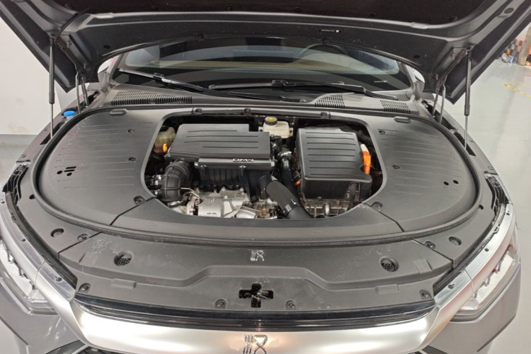 BYD Han 2022 car image #20