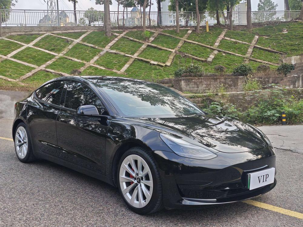 Tesla Model 3 2021 #3 Tesla Model 3 2021 car image #3