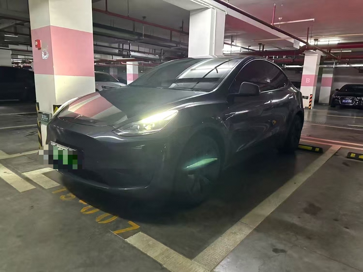 Tesla Model Y 2024 car image 