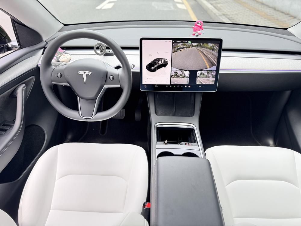 Tesla Model Y 2023 car image #15