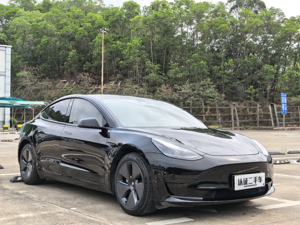 Tesla Model 3 2021 #3 Tesla Model 3 2021 car image #3
