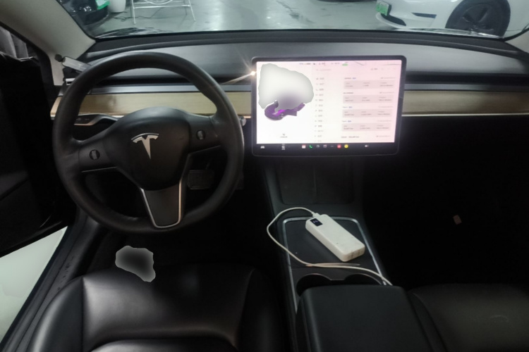Tesla Model 3 2021 car image #10