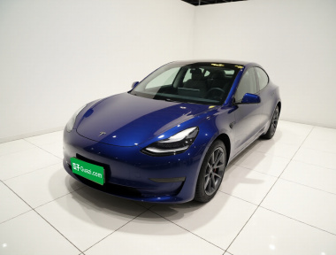 Tesla Model 3 2021 car image 