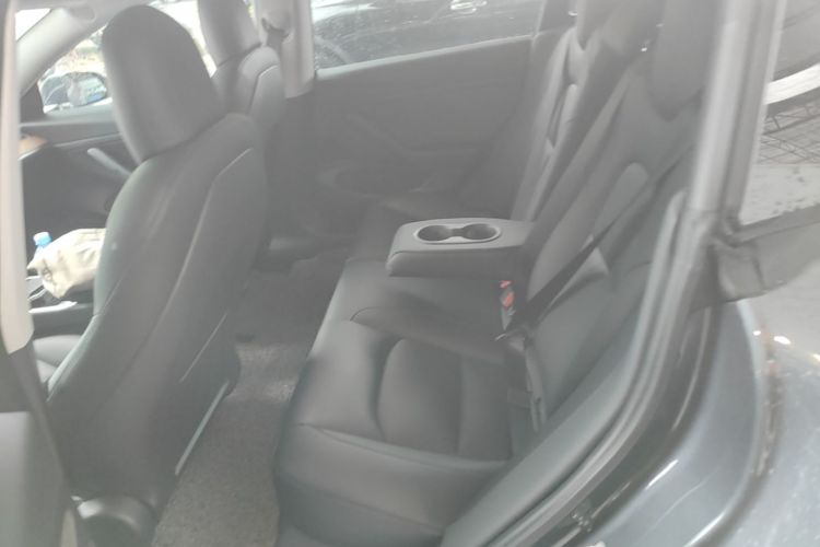 Tesla Model 3 2020 car image #17