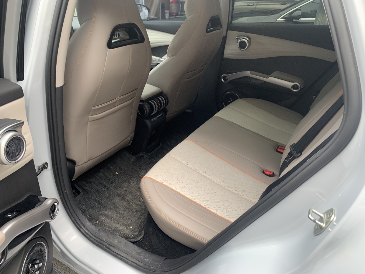 BYD Yuan Plus 2023 car image #6