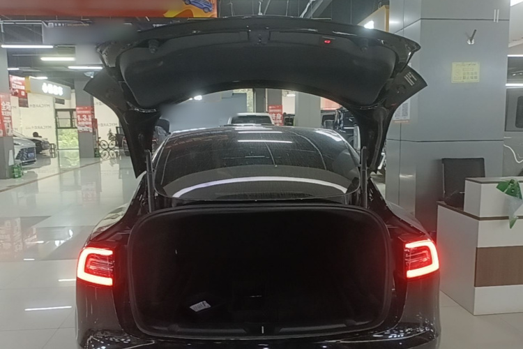 Tesla Model 3 2020 #21 Tesla Model 3 2020 car image #21