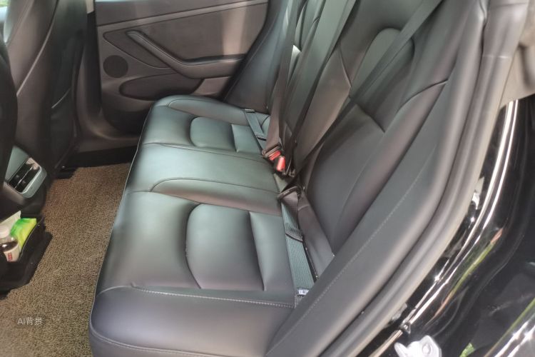 Tesla Model 3 2022 car image #19