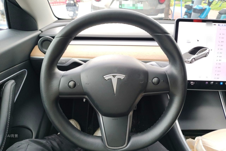 Tesla Model 3 2020 car image #12