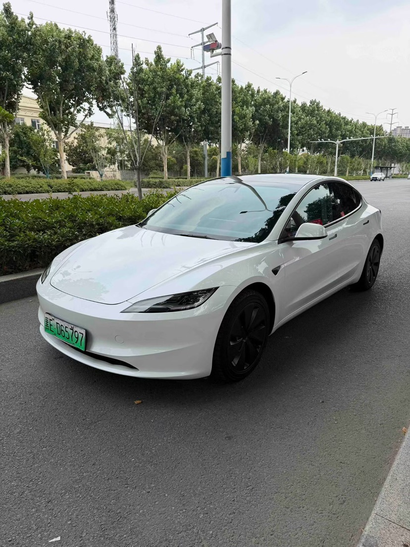 Tesla Model 3 2025 Tesla Model 3 2025 immagine di auto