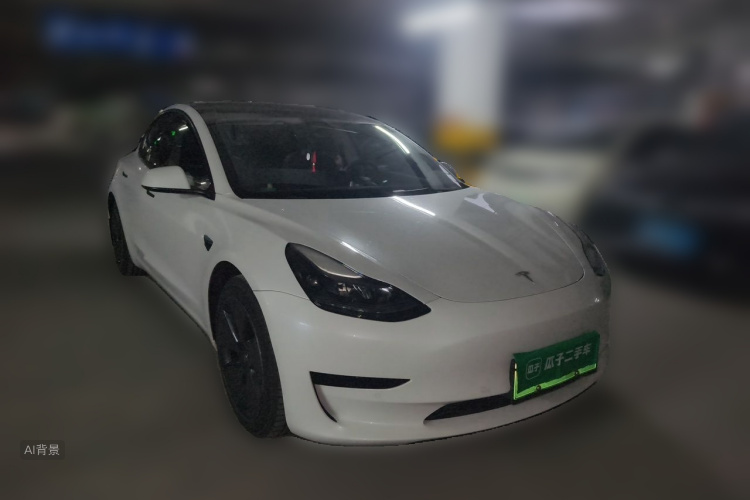Tesla Model 3 2021 #4 Tesla Model 3 2021 car image #4