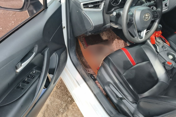 Toyota Corolla 2021 car image #13