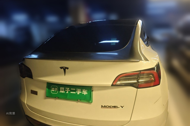 Tesla Model Y 2023 car image #6