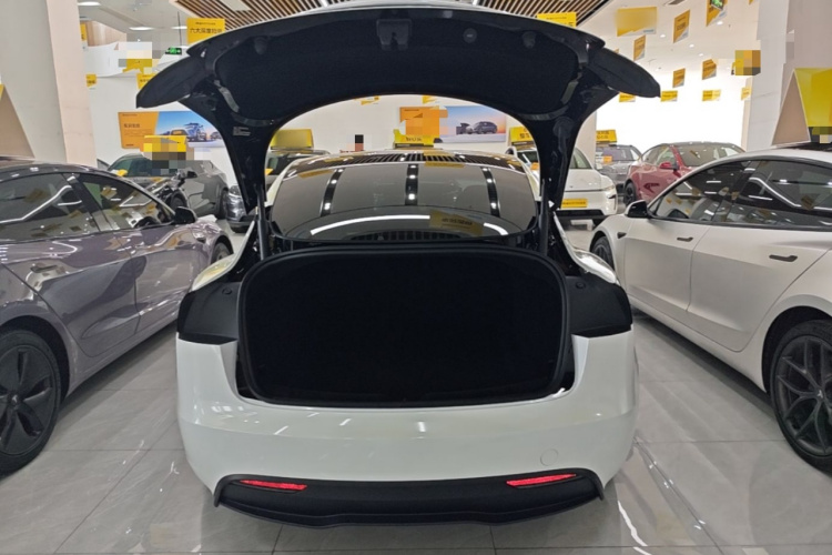 Tesla Model 3 2023 car image #19