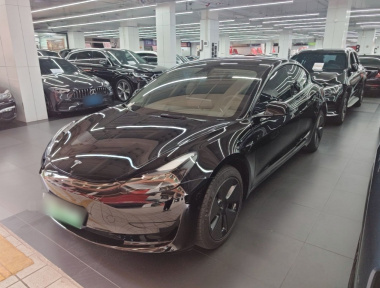 Tesla Model 3 2022 Tesla Model 3 2022 car image
