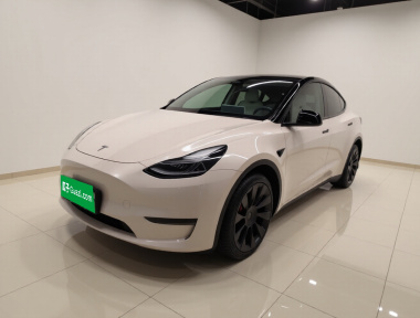 Tesla Model Y 2023 Tesla Model Y 2023 car image