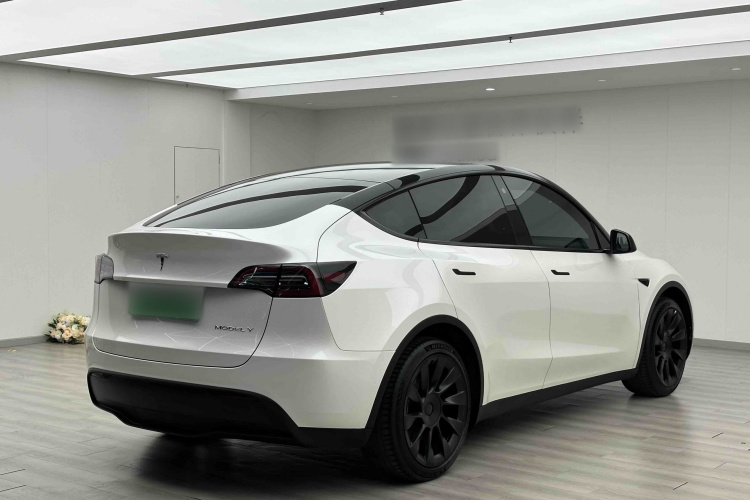 Tesla Model Y 2023 #7 Tesla Model Y 2023 car image #7
