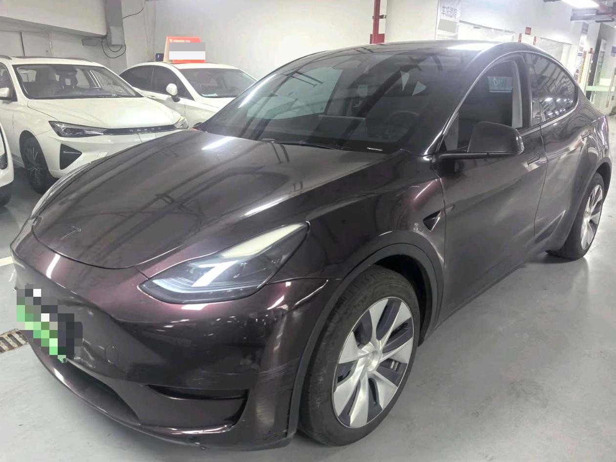 Tesla Model Y 2023 Tesla Model Y 2023 car image
