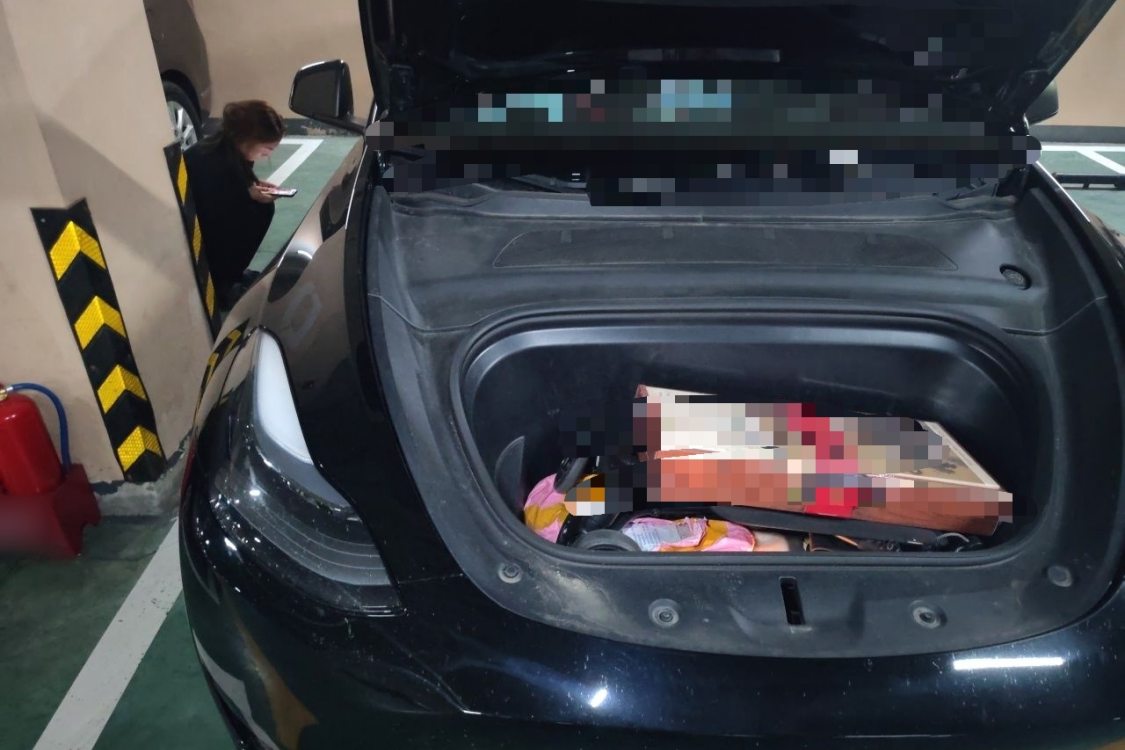 Tesla Model Y 2024 #11 Tesla Model Y 2024 immagine di auto #11
