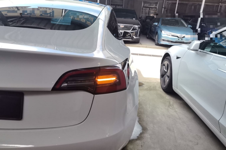 Tesla Model 3 2021 #8 Tesla Model 3 2021 car image #8