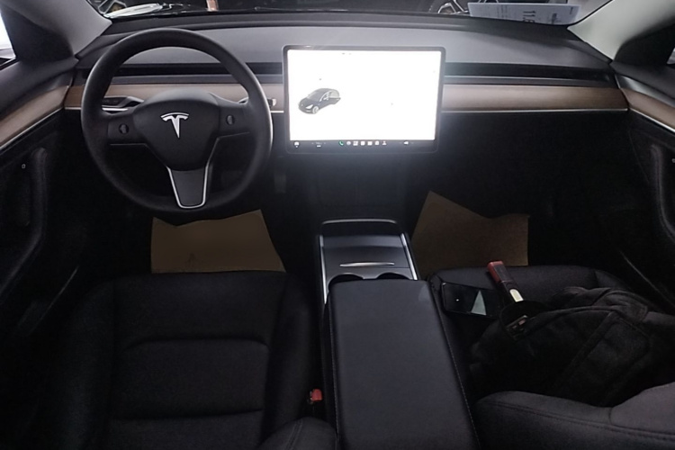 Tesla Model 3 2021 #10 Tesla Model 3 2021 car image #10