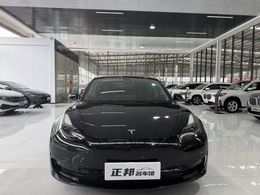 Tesla Model 3 2022 car image #2